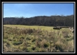 2.5 Ac Paradise property photo