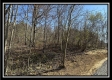 More of 2.5 Ac Paradise