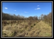 2.5 Ac Paradise property photo