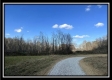 2.5 Ac Paradise property photo