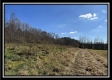 More of 2.5 Ac Paradise