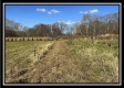 2.5 Ac Paradise property photo