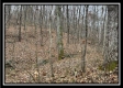 35887 Buck Run Rd property photo