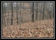 35887 Buck Run Rd property photo