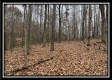 35887 Buck Run Rd property photo