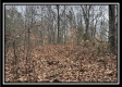 35887 Buck Run Rd property photo