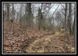 35887 Buck Run Rd property photo