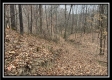 35887 Buck Run Rd property photo