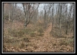 35887 Buck Run Rd property photo
