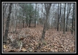 35887 Buck Run Rd property photo