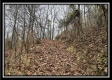 35887 Buck Run Rd property photo