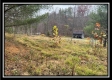 35769 Buck Run Road property photo