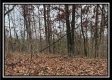 35769 Buck Run Road property photo