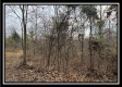 35769 Buck Run Road property photo