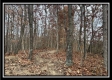 35769 Buck Run Road property photo