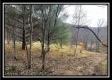 35769 Buck Run Road property photo