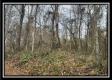 35769 Buck Run Road property photo