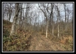 35769 Buck Run Road property photo