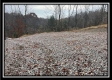 More of 35769 Buck Run Road
