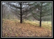 35769 Buck Run Road property photo