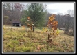 35769 Buck Run Road property photo