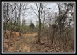 35769 Buck Run Road property photo