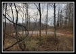 More of 35769 Buck Run Road