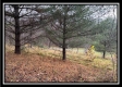 More of 35769 Buck Run Road