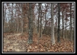 More of 35769 Buck Run Road