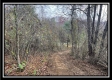 35769 Buck Run Road property photo