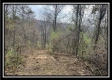 35769 Buck Run Road property photo