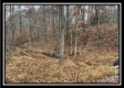 35816 Buck Run Road property photo