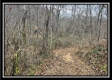 35816 Buck Run Road property photo