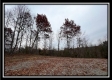 35816 Buck Run Road property photo