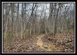 35816 Buck Run Road property photo