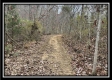 35816 Buck Run Road property photo