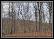35816 Buck Run Road property photo