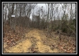 35816 Buck Run Road property photo