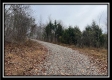 35816 Buck Run Road property photo