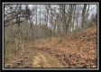35816 Buck Run Road property photo