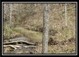 35816 Buck Run Road property photo