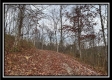 35683 Buck Run Road property photo