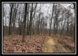 35683 Buck Run Road property photo