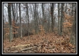 35683 Buck Run Road property photo