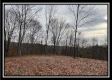 35683 Buck Run Road property photo