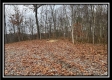 35683 Buck Run Road property photo