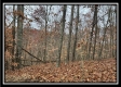35683 Buck Run Road property photo
