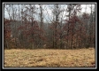 35683 Buck Run Road property photo