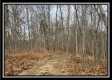 35683 Buck Run Road property photo