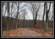 35683 Buck Run Road property photo